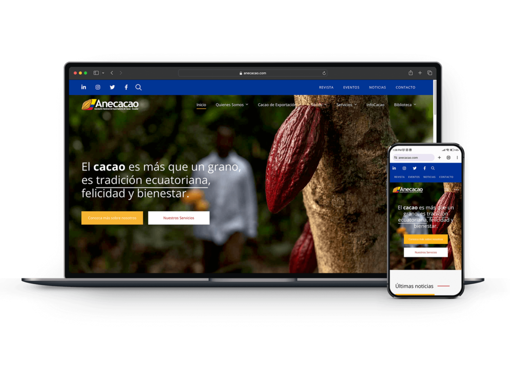 ANECACAO Web Design Services